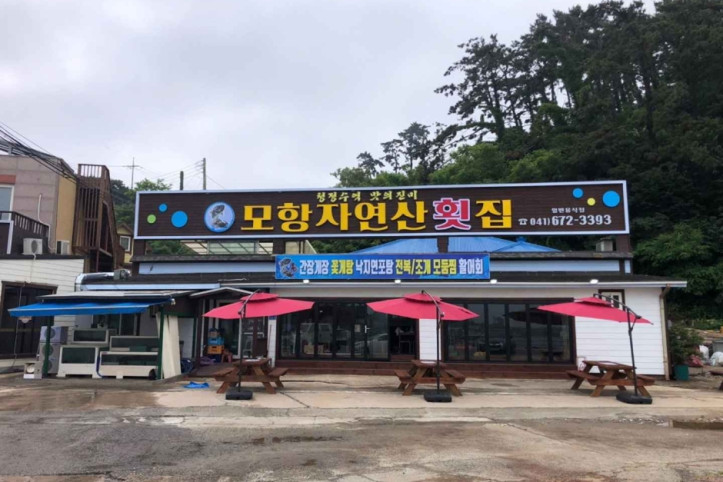 모항자연산횟집_6_공공3유형.jpg