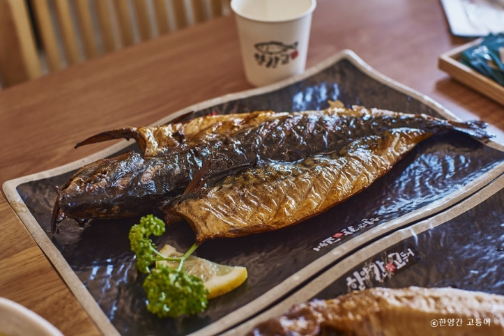 한양간_고등어_2_공공3유형.jpg