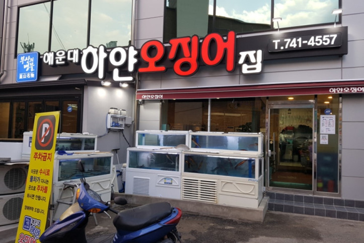 해운대하얀오징어집_2_공공3유형.jpg