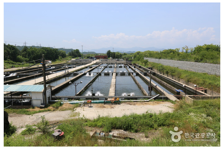 소양강양어장_3_공공3유형.jpg