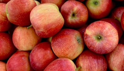 국내산 상품 A급 사과 10kg내외 대과 41-50과