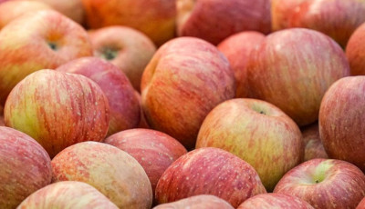 국내산 상품 A급 사과 4kg내외 대과 16-20과