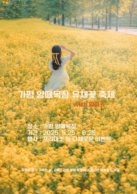 가평 양떼목장 유채꽃축제