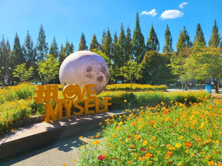 고양가을꽃축제