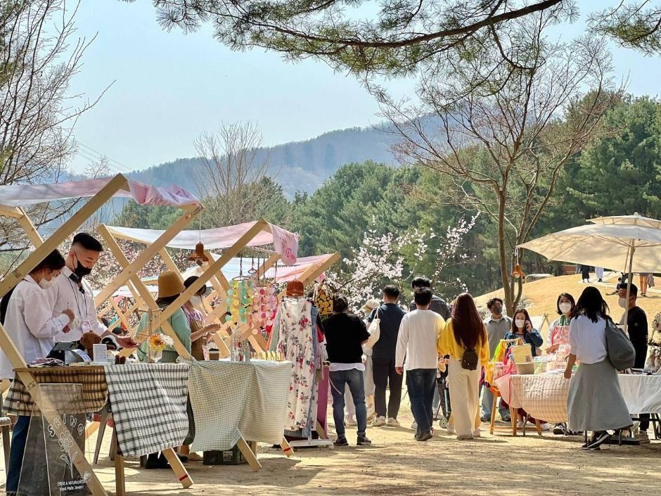 남이섬 벗(友)꽃놀자