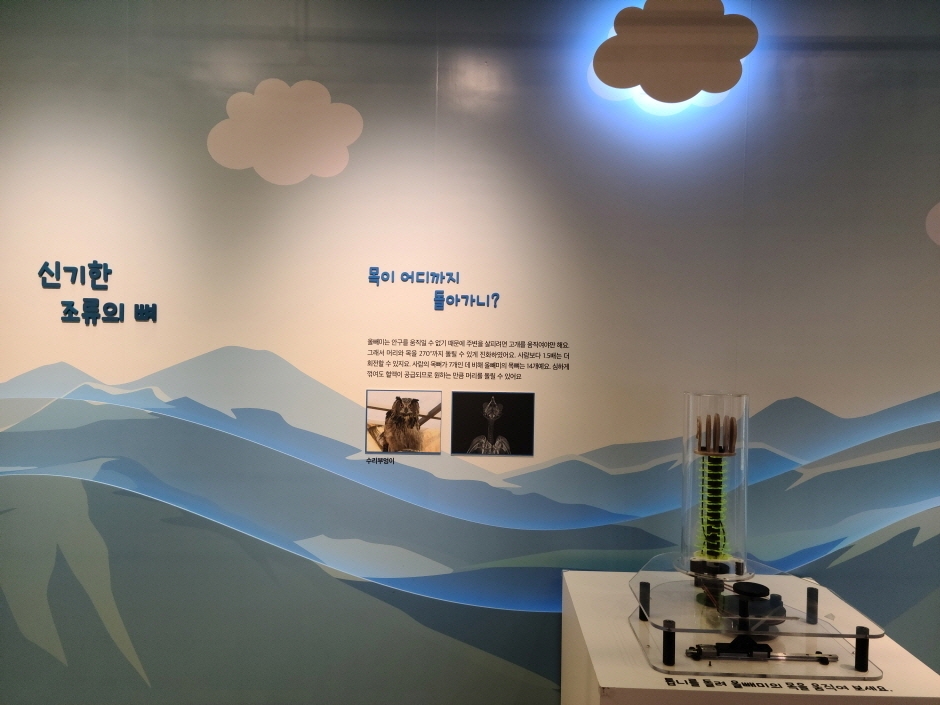 동물의 몸속에 기계가 있어요