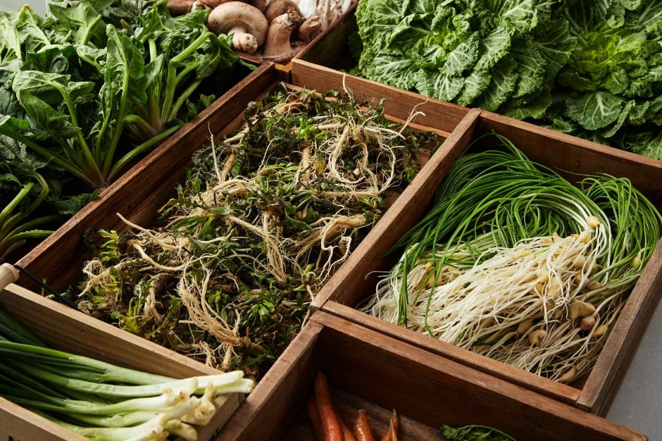 두릅봄나물여행