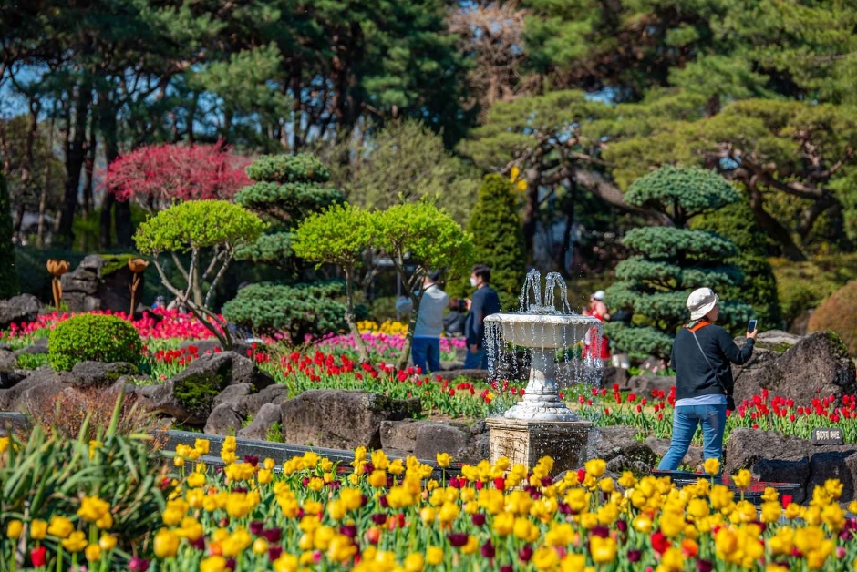 벽초지수목원 튤립 봄꽃축제