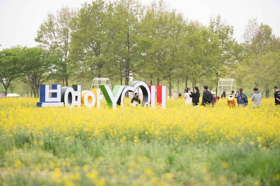 부여세도 방울토마토 & 유채꽃축제