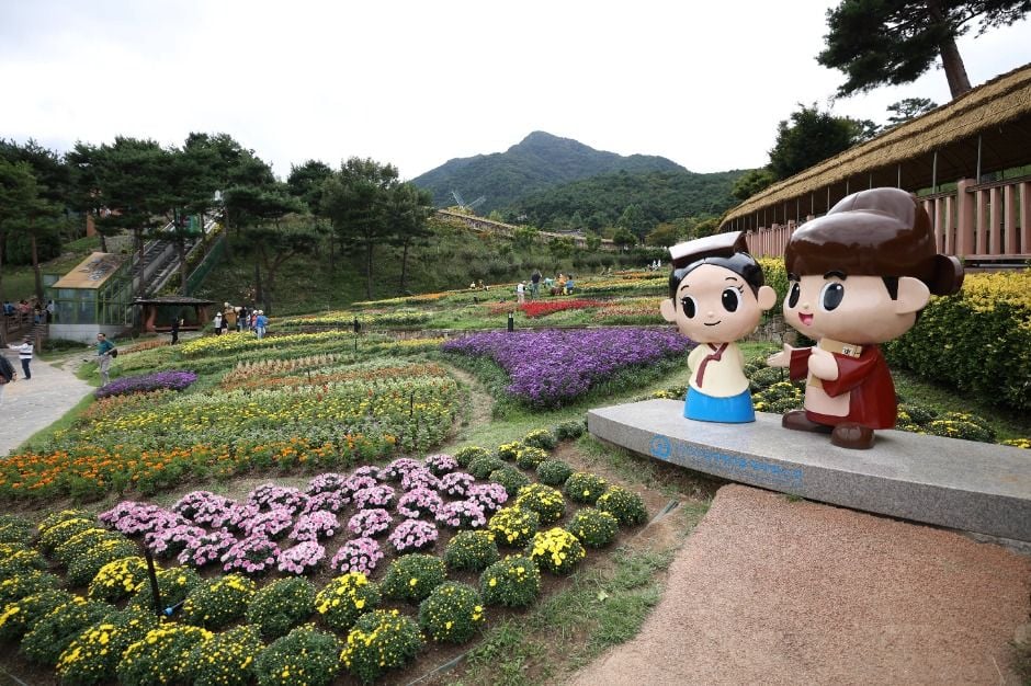 산청한방약초축제