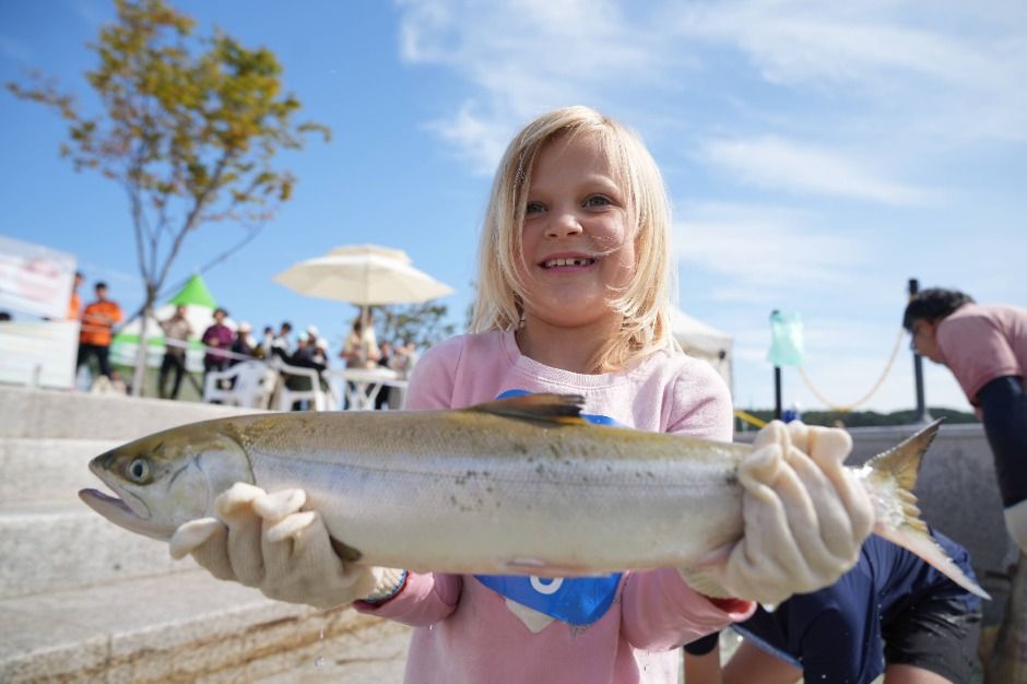 양양연어축제