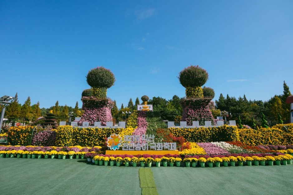 익산천만송이 국화축제