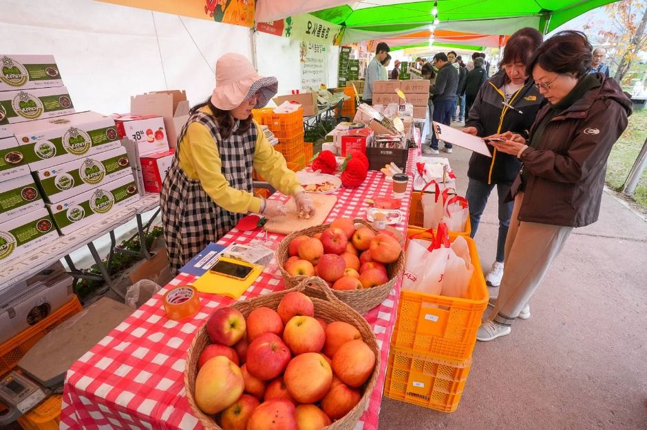 청춘양구 펀치볼 시래기사과축제